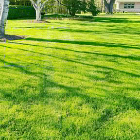 landscaping services by B&amp;C Lawn and Landscaping LLC reviewed on October 20, 2025