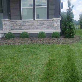 Bush Trimming by Conlon Cuts reviewed on August 20, 2025