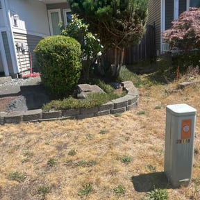 Bush Trimming by Paradise Eden Landscaping reviewed on July 27, 2026
