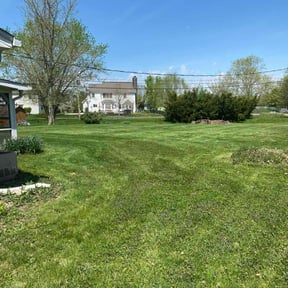 lawn maintenance by Rivera Brother Landscaping reviewed on November 9, 2017