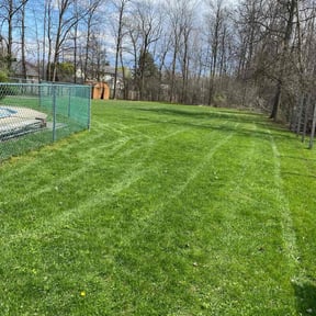 landscaping by Yards_plus reviewed on August 21, 2025