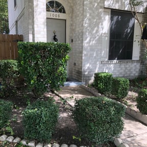 Bush Trimming by GAC Lawn Care reviewed on August 15, 2025