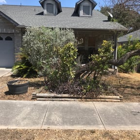 Bush Trimming by JDAA Lawn Care Service LLC reviewed on August 17, 2025