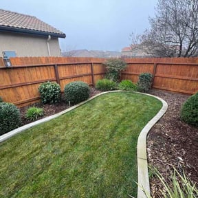 Bush Trimming by Curry's mowing reviewed on February 4, 2026