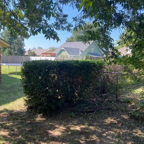 Bush Trimming by Humblelawn.com reviewed on August 17, 2025