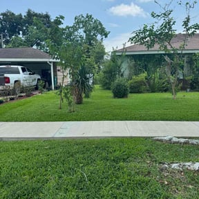 turf maintenance by Great Earth Property Maintenance reviewed on November 23, 2024