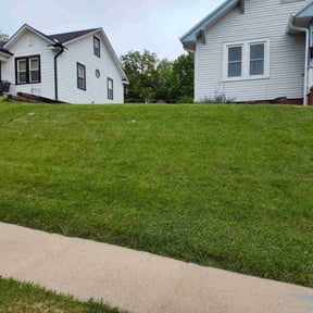 lawn service by Ann's lawn! reviewed on February 28, 2024
