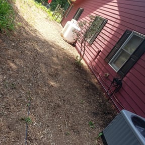 Leaf Removal by Better Dash Group LLC reviewed on October 1, 2025