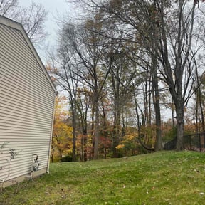 Leaf Removal by Grant Home and Lawn reviewed on September 24, 2025