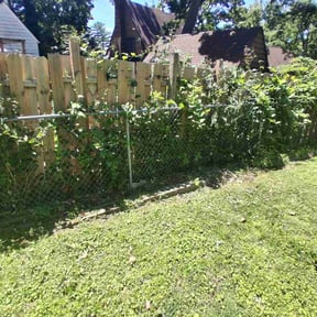 Flower Bed Weeding by Canary Yard Care reviewed on June 14, 2026
