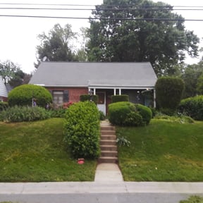 Bush Trimming by T and T Strong reviewed on February 12, 2026