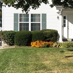 Bush Trimming by MLT LAWN CARE & SERVICES reviewed on August 17, 2025