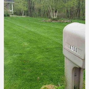 gardening service by A&D custom landscape and yard maintenance reviewed on August 15, 2025