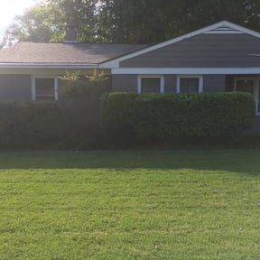 Bush Trimming by A.G. Yard service reviewed on August 16, 2025
