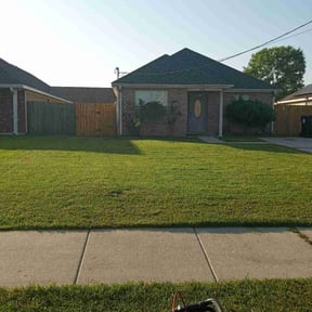 grass maintenance by Metro home services reviewed on June 30, 2023