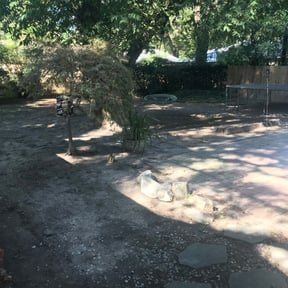 Leaf Removal by Custom Concrete &amp; Landscape reviewed on September 11, 2025