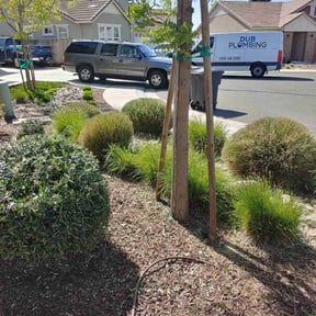 Bush Trimming by One Tough Mama Roofing and Landscaping LLC reviewed on August 21, 2025