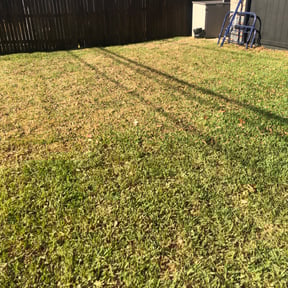 Leaf Removal by Abel Baeza reviewed on September 13, 2025