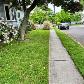 yard service by Undercut Lawn Care reviewed on August 19, 2025