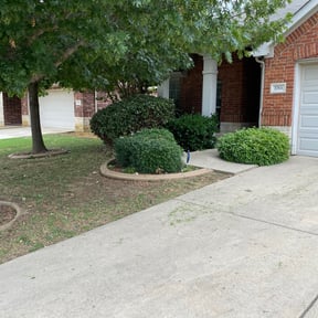 Bush Trimming by Jorge's lawn service reviewed on August 16, 2025