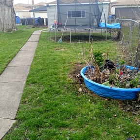 Leaf Removal by Witmer&#039;s Moving and More reviewed on September 10, 2025