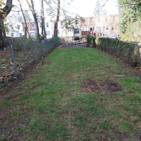 Leaf Removal by TwinEagleLandscaping reviewed on September 6, 2025