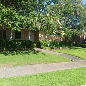 yard service by CleanRite reviewed on November 23, 2025