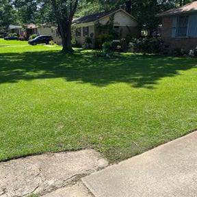 yard service by Carolina Country Lawn And Deck LLC reviewed on August 19, 2025