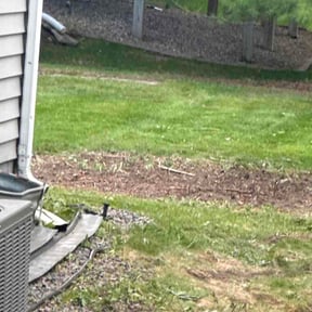 Leaf Removal by BM Yard pros reviewed on July 3, 2026