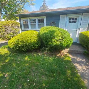 Bush Trimming by Amaya Landscaping reviewed on May 17, 2026