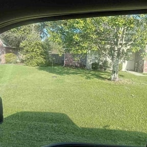 grass cutting by Bad Daddy Lawns reviewed on September 27, 2023