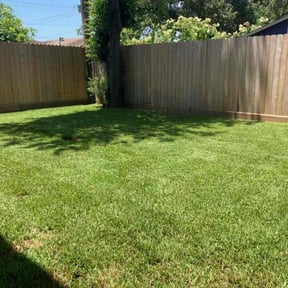 landscaping by Sovine Trading Company reviewed on December 18, 2025