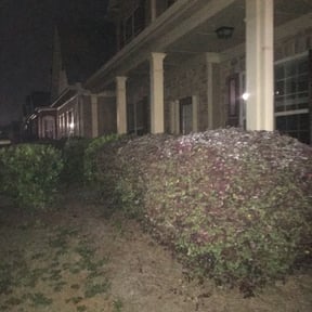 Bush Trimming by Mauler Mowing LLC reviewed on August 20, 2025