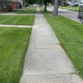 landscaping by Country Boyz Enterprise reviewed on November 24, 2025