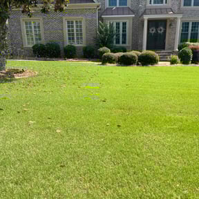 residential landscaping by Precise Cut Lawn Care reviewed on August 18, 2025