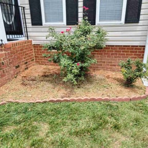 Flower Bed Weeding by Las Tortugas LLC reviewed on June 26, 2026