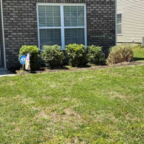 Bush Trimming by Integrity Lawn &amp; Irrigation LLC reviewed on May 14, 2026