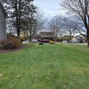 Leaf Removal by Integrity Property Services LLC reviewed on November 23, 2025