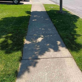 gardening service by Dj's Lawn Care reviewed on February 15, 2026