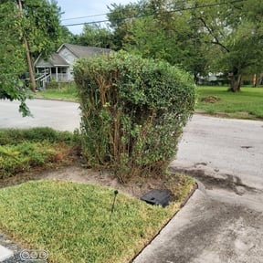 Bush Trimming by Red Machine Landscaping reviewed on August 16, 2025