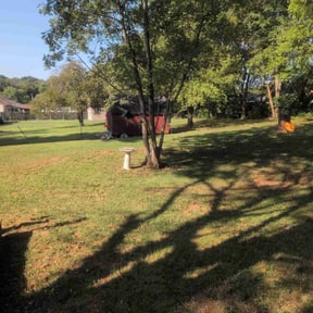 Leaf Removal by Miramontes Landscaping reviewed on September 22, 2025