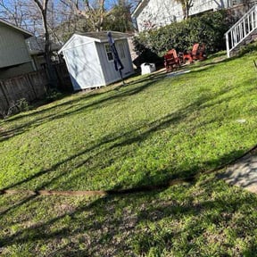 Leaf Removal by PizzaCuts reviewed on September 7, 2025