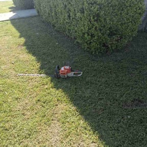 Bush Trimming by Richard Buricca reviewed on March 29, 2026