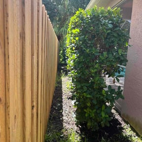 Bush Trimming by NEEL GENERAL CONTRACTING reviewed on August 15, 2025