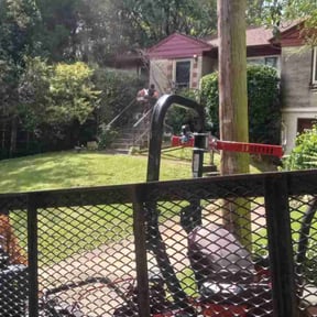 Bush Trimming by Beyond Green Landscaping reviewed on August 21, 2025