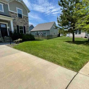 yard care by Custom Performance reviewed on November 23, 2025