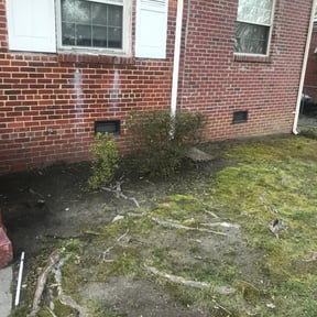 Bush Trimming by ShiftChange LLC Lawn Service reviewed on August 18, 2025