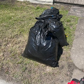 Leaf Removal by Clean cut maintence reviewed on September 24, 2025