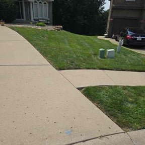 yard maintenance by MR Lawn reviewed on August 21, 2025