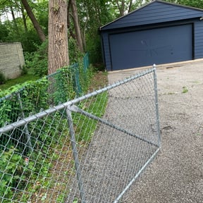 Bush Trimming by Jr Lawns LLC reviewed on August 16, 2025